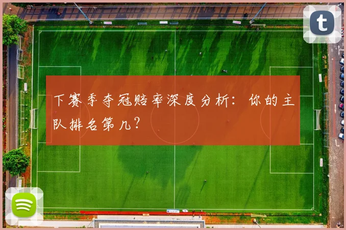 下赛季夺冠赔率深度分析：你的主队排名第几？